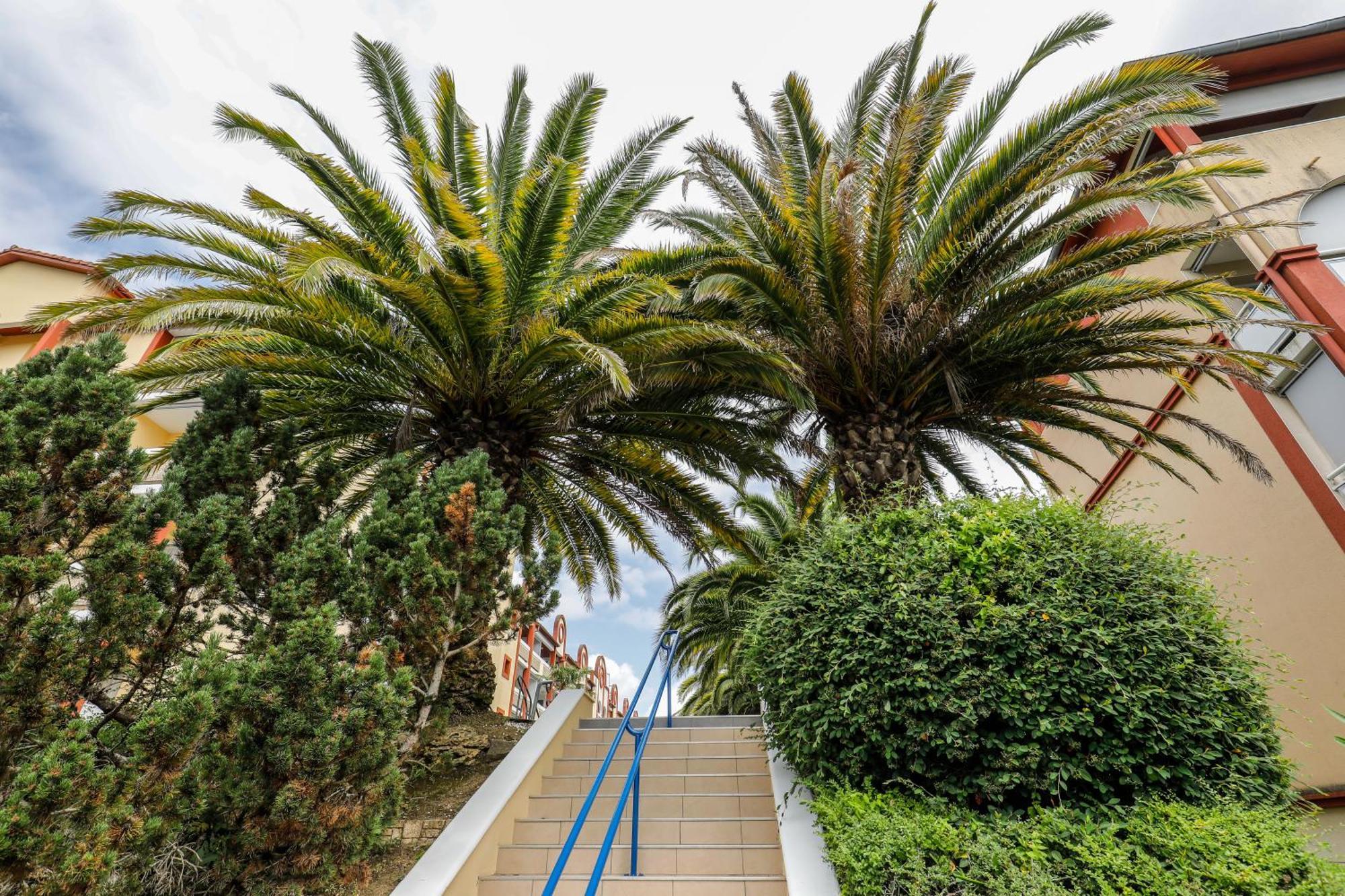 Les Demeures De Borda Aparthotel Dax Exterior photo